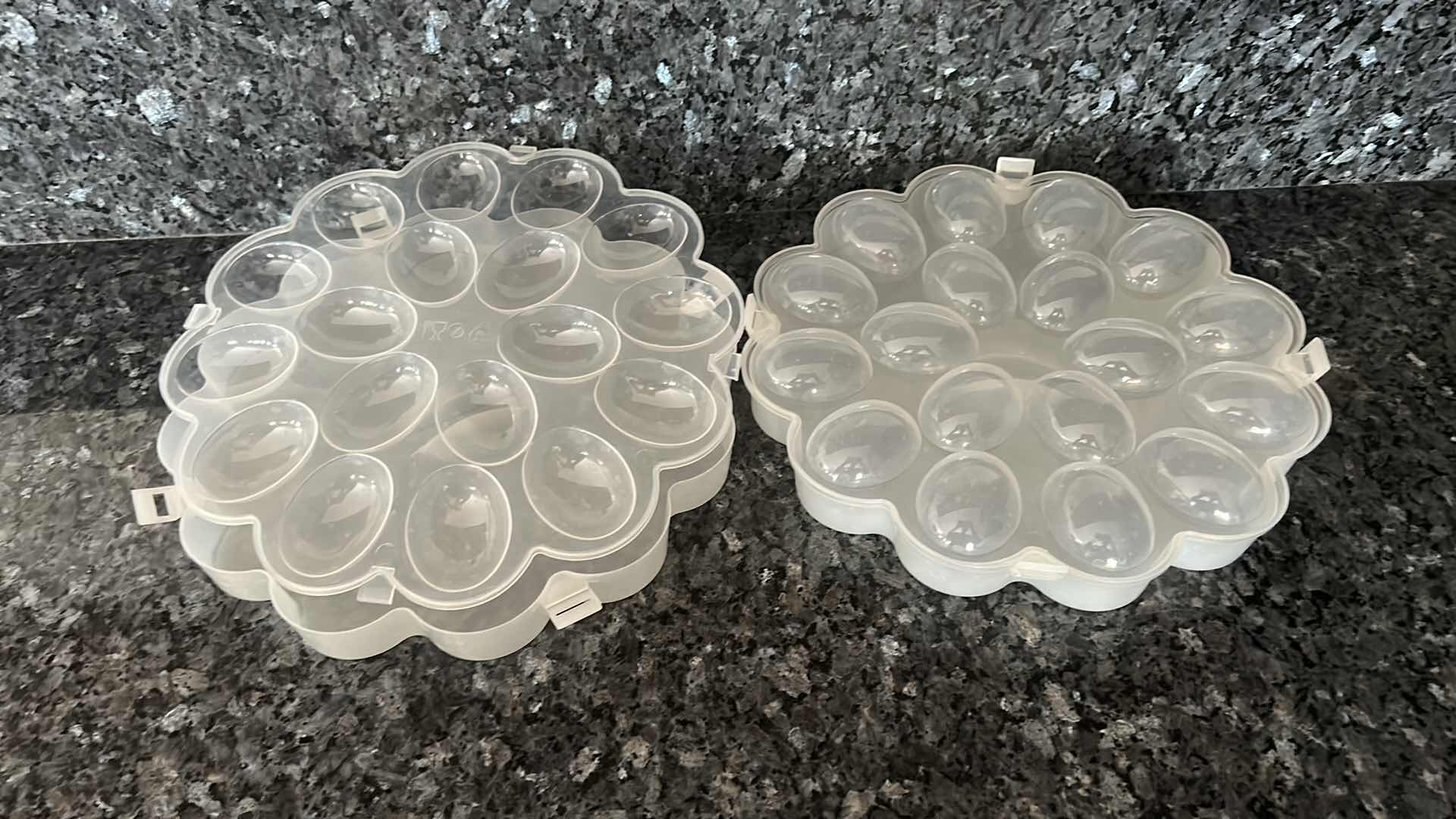 Photo 1 of PLASTIC DEVILED EGG STORAGE