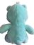 Photo 2 of CARE BEARS WISH BEAR PLUSH