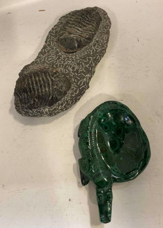 Photo 1 of FOSSIL TRILOBITE 11” AND MALACHITE 7”