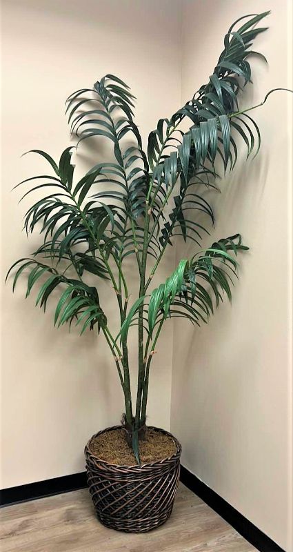 Photo 1 of TALL FAUX PALM TREE IN WICKER BASKET  22” x 8’
