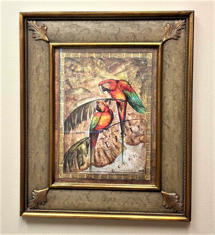 Photo 1 of GOLD WOOD FRAMED “PARROTS” 30” x 35”