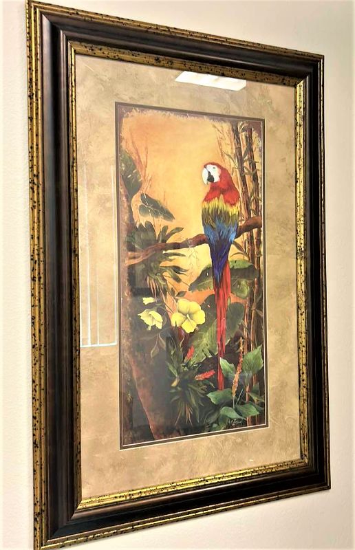 Photo 1 of WOOD FRAMED (PARROT TROPICAL) ARTWORK 24” x 36”