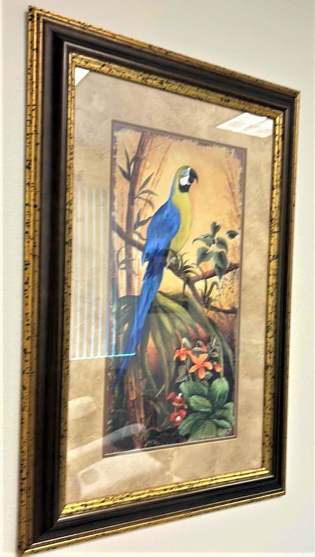 Photo 1 of WOOD FRAMED (PARROT TROPICAL) ARTWORK 24” x 36”