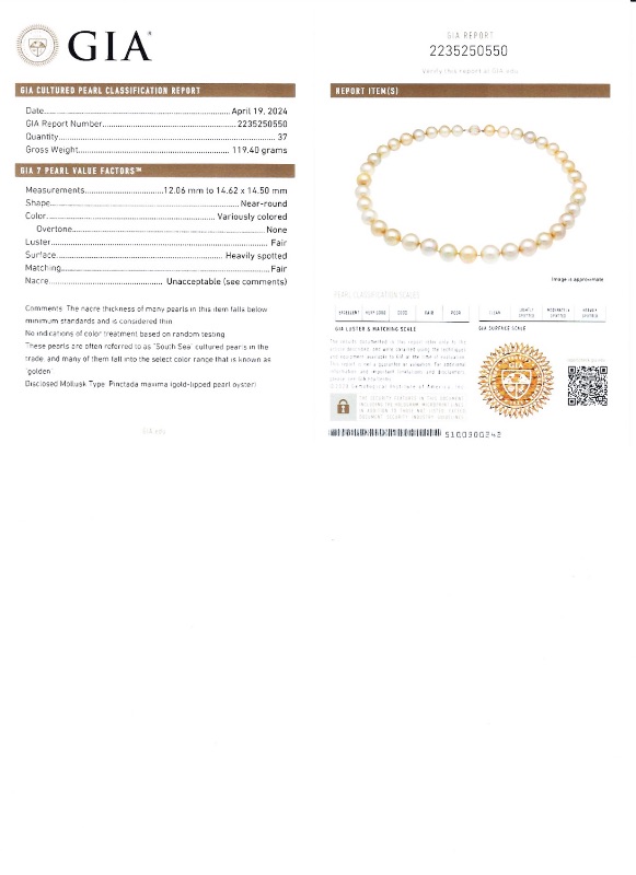 Photo 5 of 12MM to 14MM GOLDEN South Sea Cultured Pearl Necklace with 14K Yellow Gold Clasp (GIA CERTIFIED) W. MSRP Appraisal  NK015815