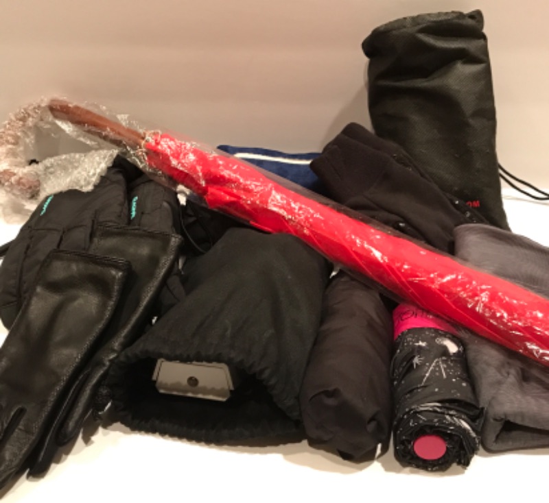 Photo 1 of UMBRELLA TRAVEL IRON GLOVES AND MORE