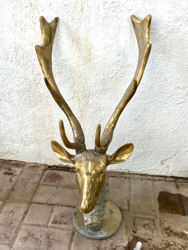 Photo 4 of BRASS CAST OF ELK HEAD 28”