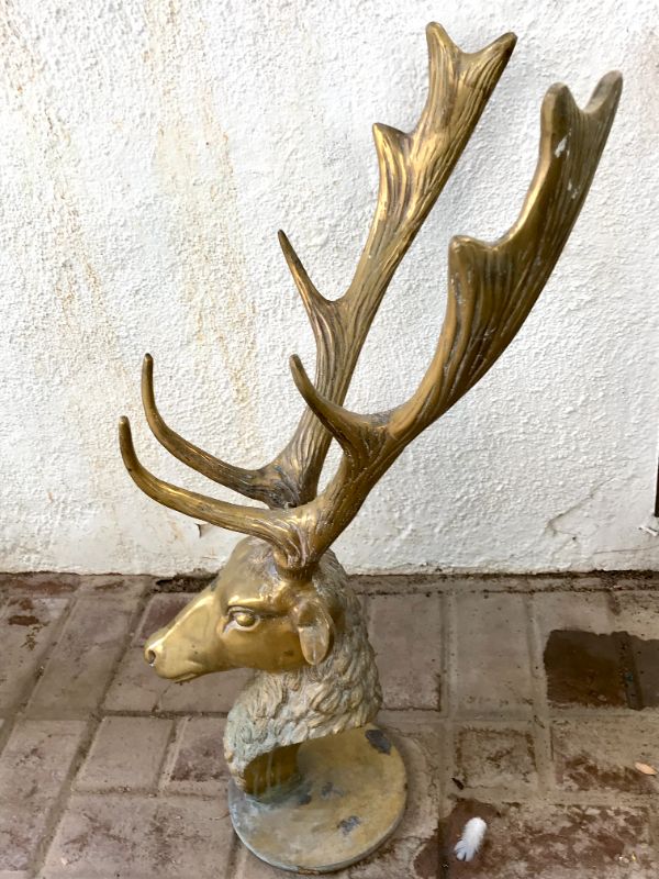 Photo 1 of BRASS CAST OF ELK HEAD 28”