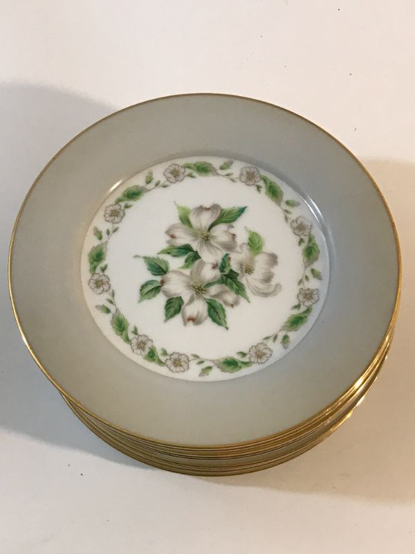 Photo 2 of 9 NORITAKE CHINA EDGEMONT  DINNER PLATES