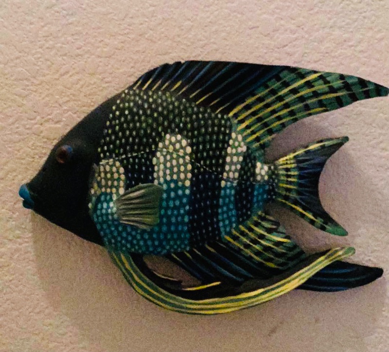 Photo 2 of COLORFUL FISH WALL DECOR