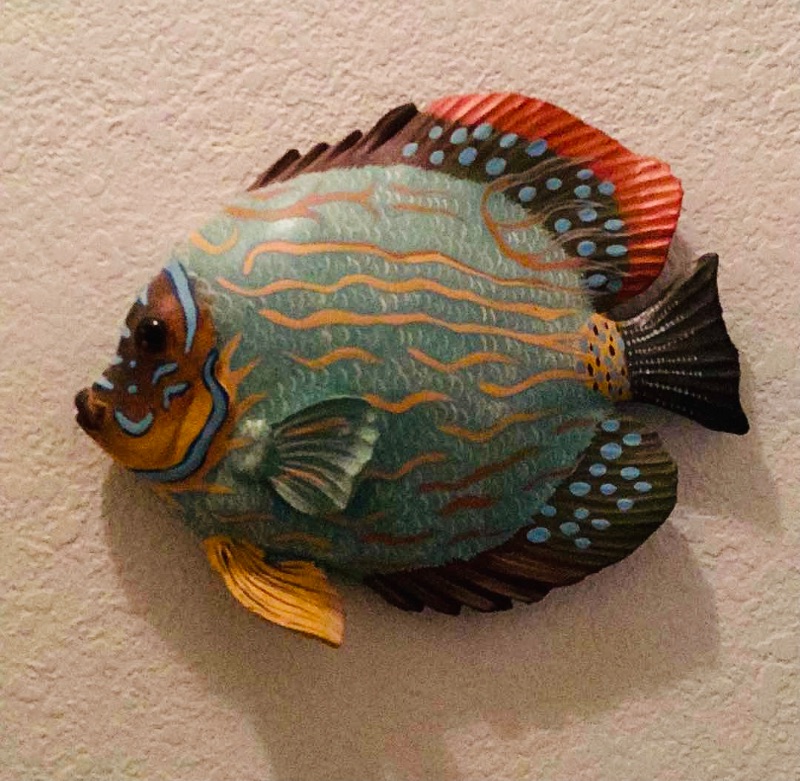 Photo 3 of COLORFUL FISH WALL DECOR