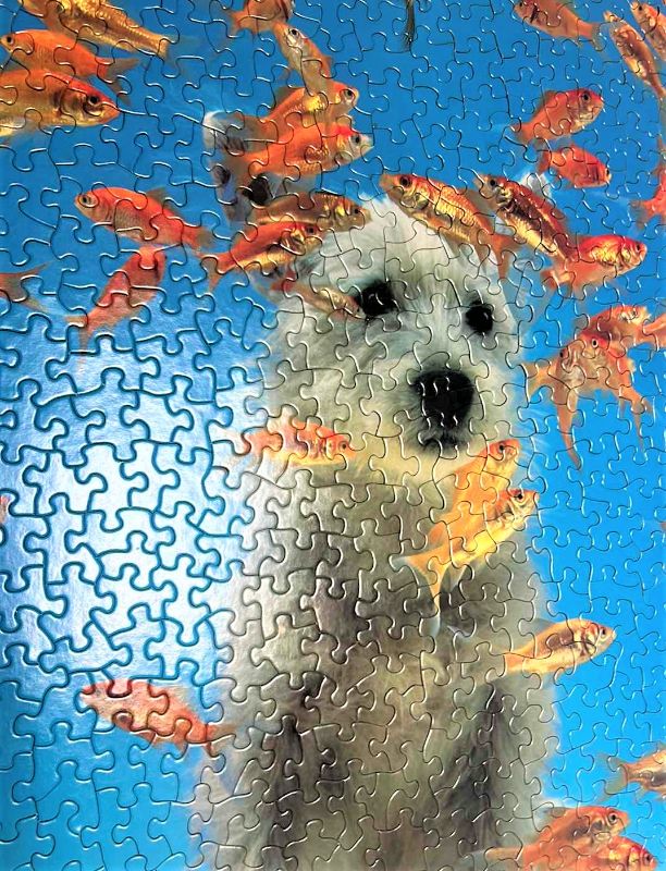 Photo 1 of GOLD FRAMED PUZZLE “DOG WITH GOLDFISH” ARTWORK 20.5” x 20.5”