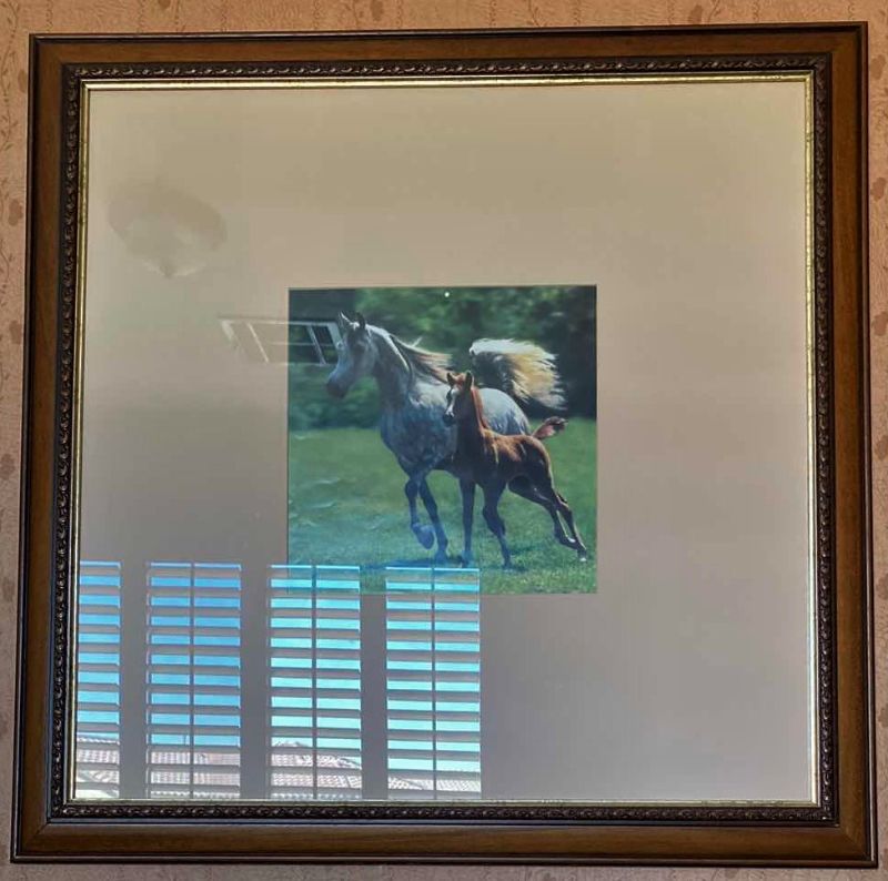 Photo 1 of FRAMED AND MATTED HORSE PHOTO ARTWORK 32“ x 32”