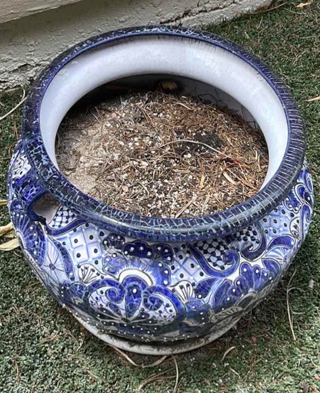 Photo 1 of BLUE & WHITE DECORATIVE PLANTER
16” X 14”