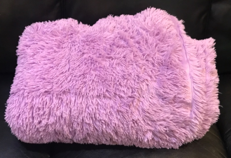 Photo 1 of MARTHA STEWART LAVENDER COLORED PLUSH AND COZY BLANKET/COMFORTER SIZE TWIN XL