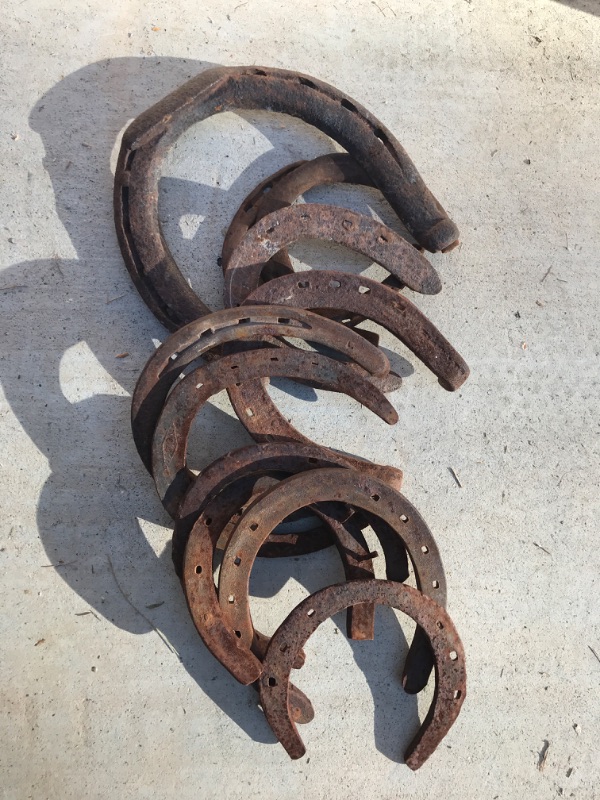 Photo 1 of OLD RUSTIC HORSESHOES