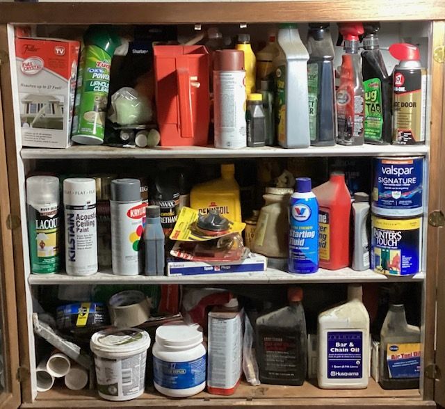 Photo 1 of CONTENTS OF THREE SHELVES- PAINT/ OIL / CLEANING SUPPLIES/ SPRAY PAINT/ BUG SPRAY AND MUCH MORE