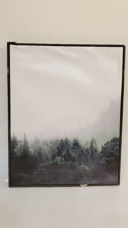 Photo 2 of Mystic Forest Framed Canvas - Threshold - 24" x 30" 