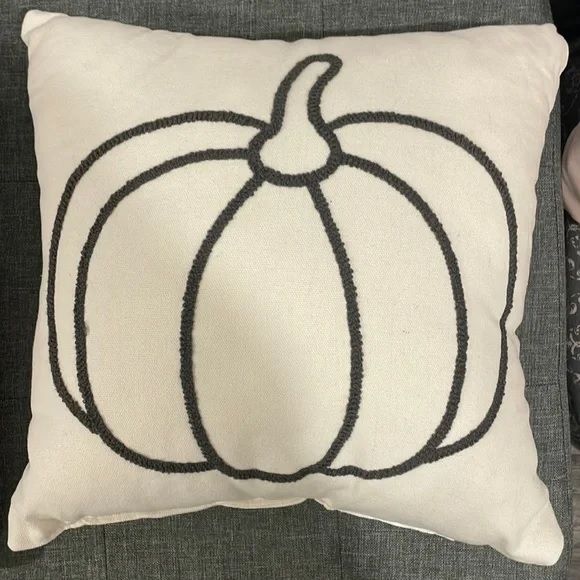 Photo 1 of Gray Pumpkin Decorative Throw Pillow 14" x 14" 