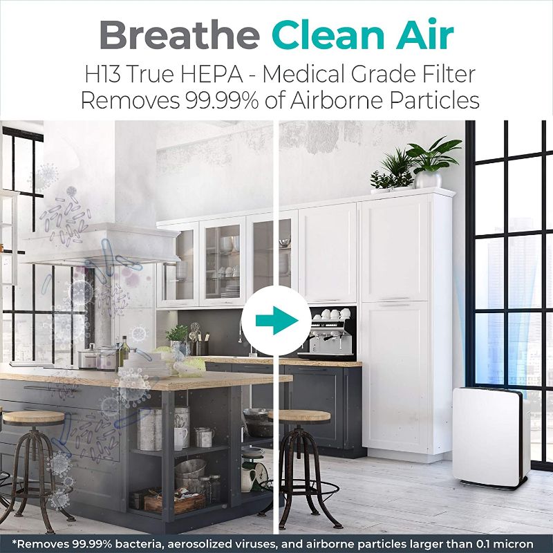 Photo 2 of Alen FIT50 Air Purifier, Quiet Air Flow for Large Rooms, 900 SqFt, Air Cleaner for Allergens, Dust, Mold, Pet Dander, Heavy Odors with Long Filter Life