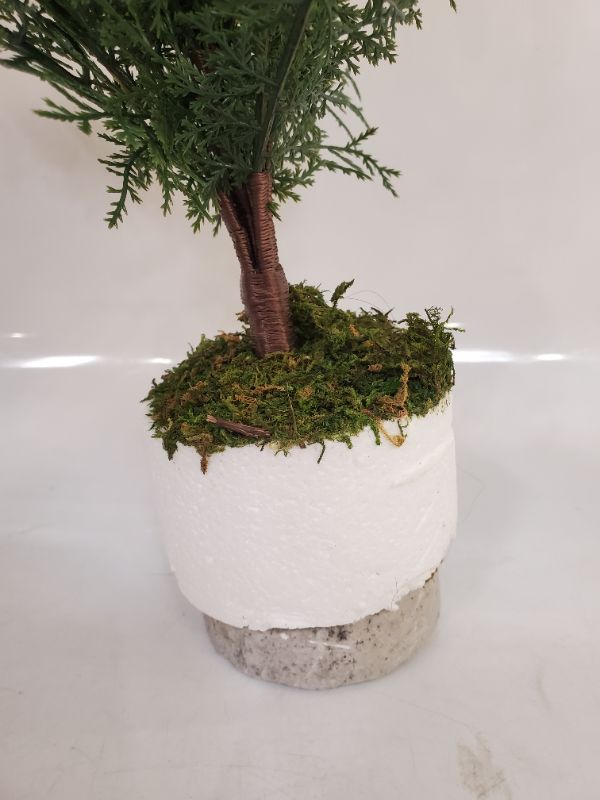 Photo 6 of Small Artificial Feathery Pine Tree - Threshold designed with Studio McGee - 22"H
