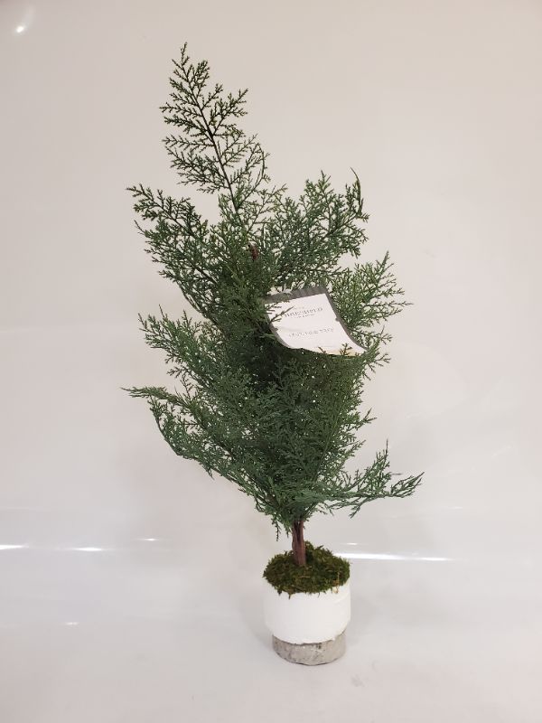 Photo 4 of Small Artificial Feathery Pine Tree - Threshold designed with Studio McGee - 22"H
