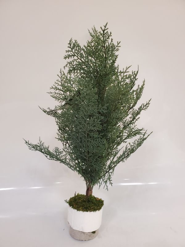 Photo 3 of Small Artificial Feathery Pine Tree - Threshold designed with Studio McGee - 22"H
