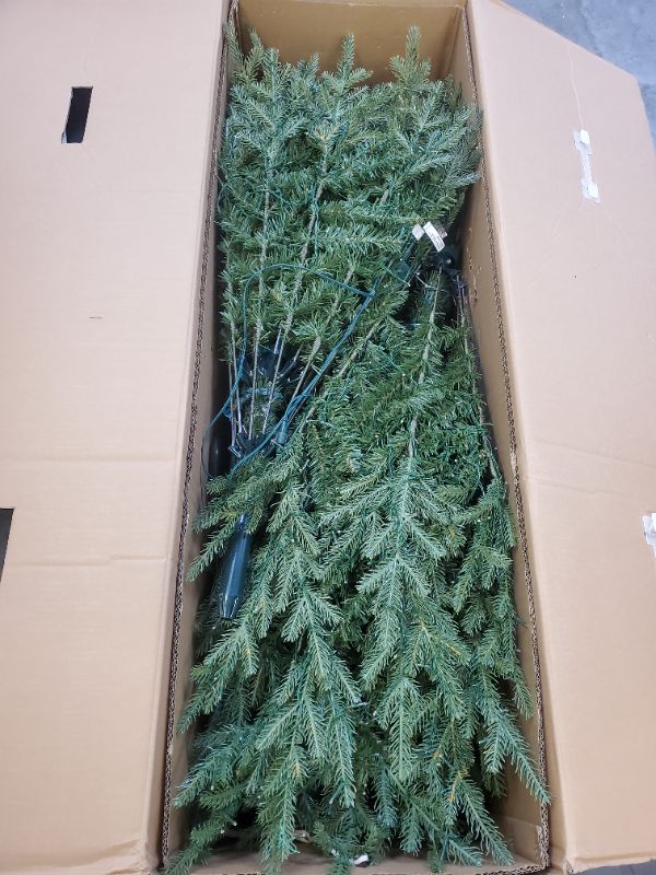 Photo 2 of 9 ft Grand Duchess Balsam Fir LED Pre-Lit  Christmas Tree