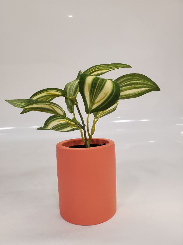 Photo 2 of Artificial Plant - Dimensions: 3 " pot - 6" plant 