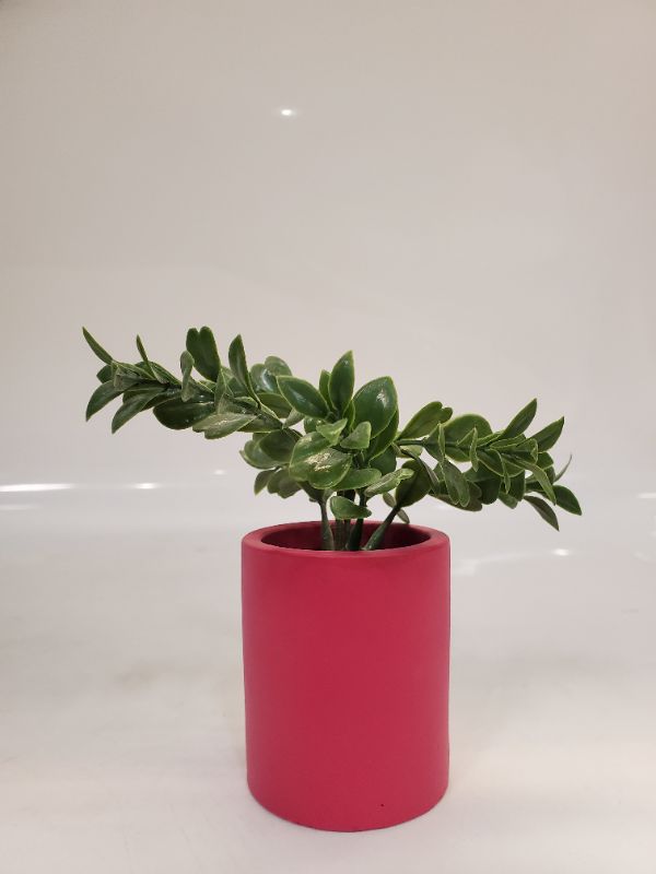 Photo 3 of Artificial Plant - Dimensions: 3" Fuchsia pot - 6" plant 