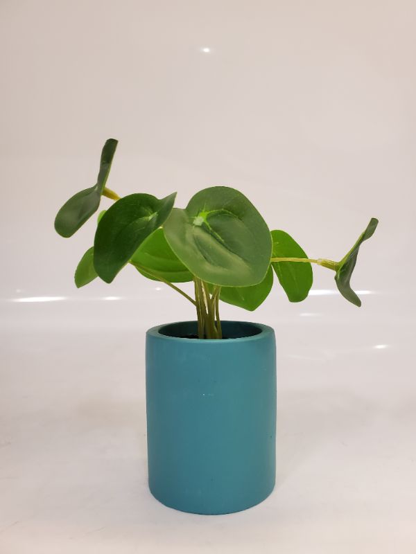Photo 3 of Artificial Plant - Dimensions: 3" blue pot - 6" plant 