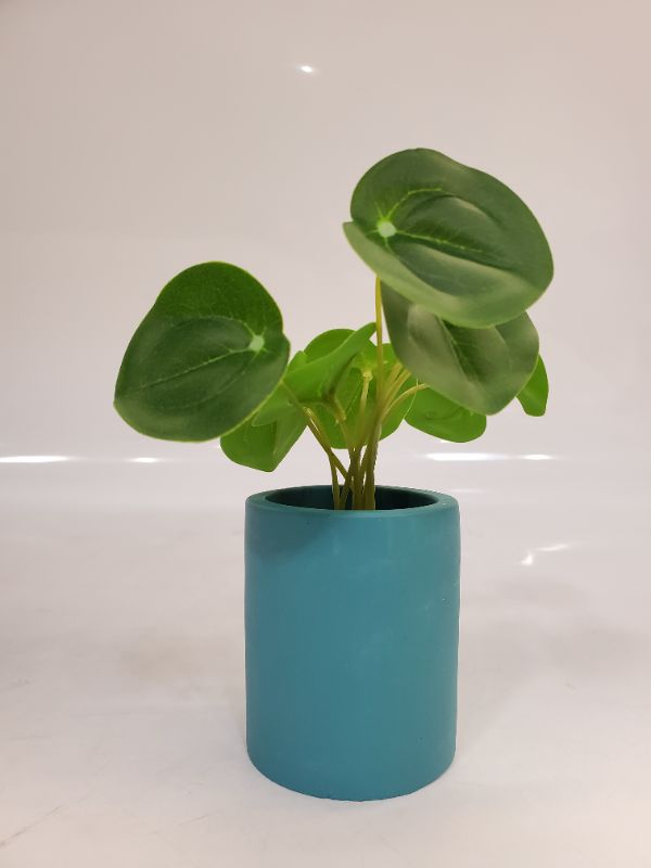 Photo 2 of Artificial Plant - Dimensions: 3" blue pot - 6" plant 
