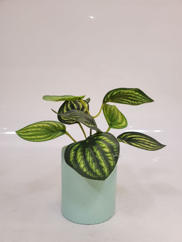 Photo 2 of Artificial Plant - Dimensions: 3" light teal pot - 5" plant 
