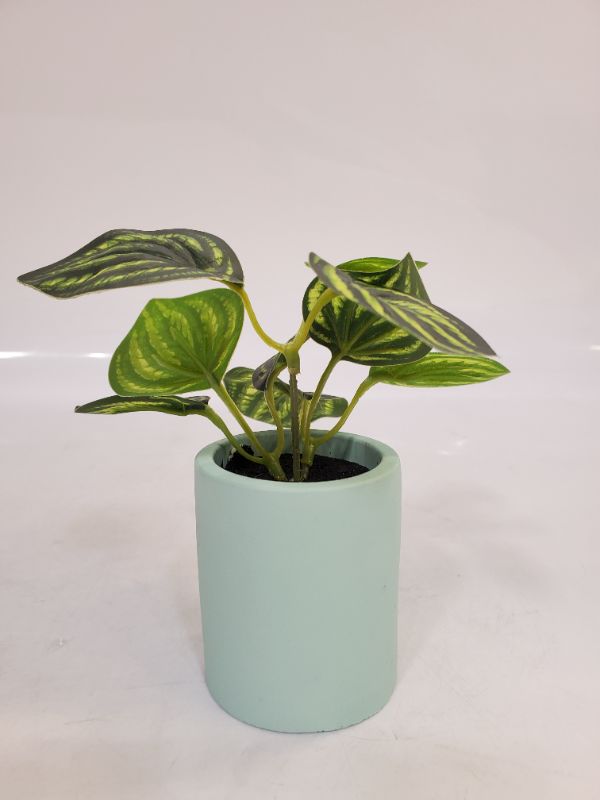 Photo 3 of Artificial Plant - Dimensions: 3" light teal pot - 5" plant 