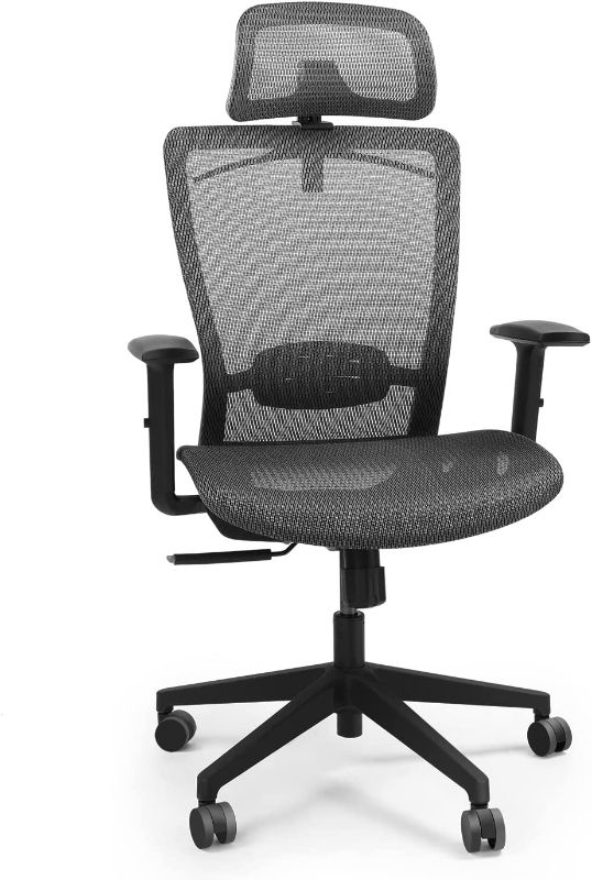 Photo 1 of Ergonomic Executive Mesh Office Chair Swivel Height Adjustable Seat Headrest Armrest Lumbar Support Caster Wheels Task Chair Gray