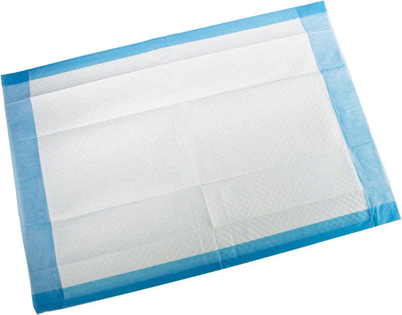 Photo 2 of 100 COUNT Disposable Underpads 17'' x 24''