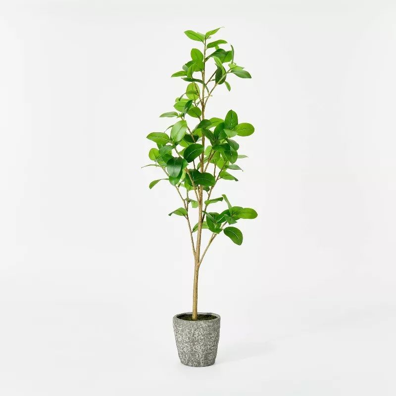 Photo 1 of Threshold designed with Studio McGee - Banyan Leaf Potted Tree