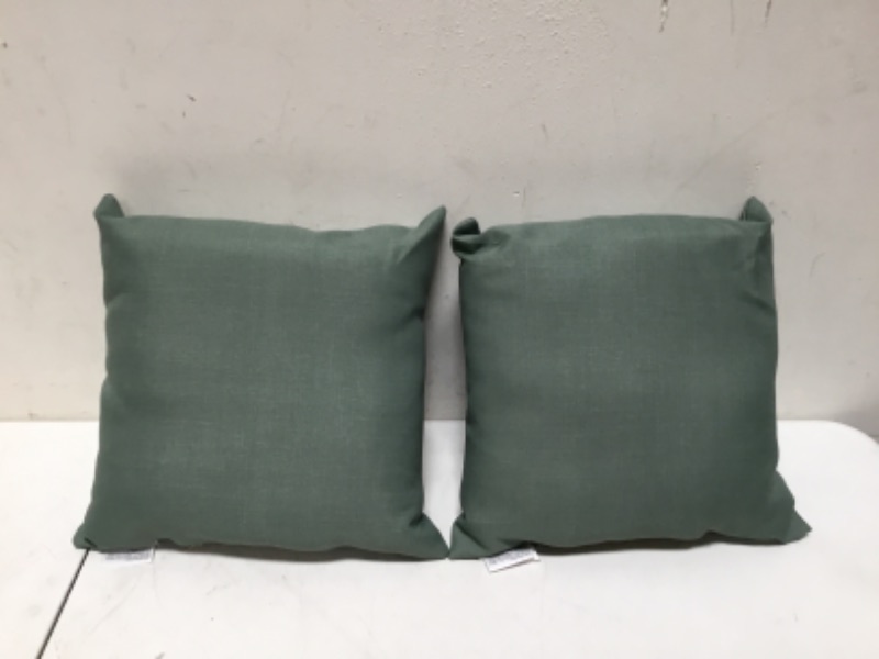 Photo 2 of Arden Selections Outdoor Toss Pillow (2 Pack) 16 x 16, Moss Green Leala