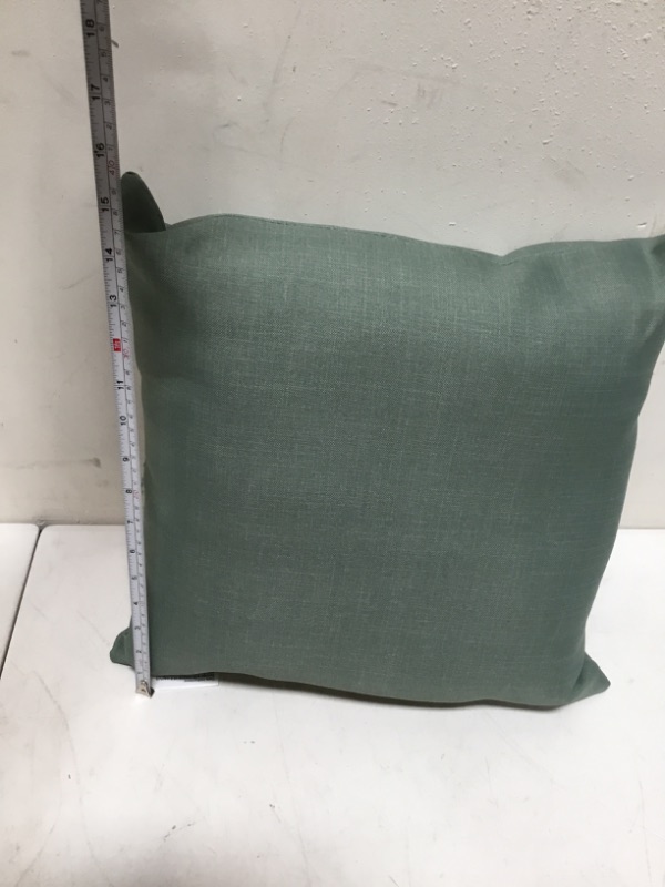 Photo 3 of Arden Selections Outdoor Toss Pillow (2 Pack) 16 x 16, Moss Green Leala