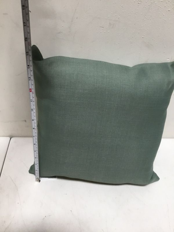 Photo 4 of Arden Selections Outdoor Toss Pillow (2 Pack) 16 x 16, Moss Green Leala
