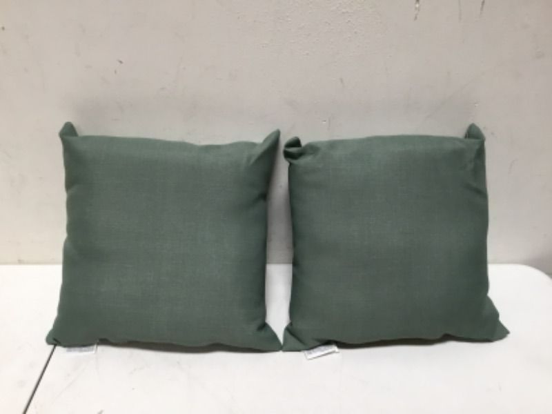 Photo 2 of Arden Selections Outdoor Toss Pillow (2 Pack) 16 x 16, Moss Green Leala
