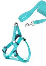 Photo 1 of Dogline Soft and Padded Comfort Microfiber Leash for Dogs (Small)  (W1/4 x L36 x G10-16"), Teal
