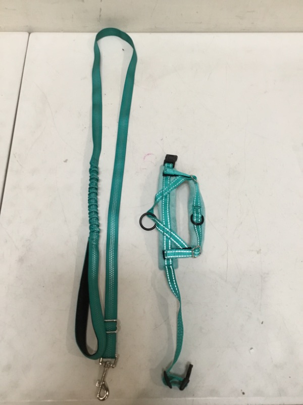 Photo 2 of Dogline Soft and Padded Comfort Microfiber Leash for Dogs (Small)  (W1/4 x L36 x G10-16"), Teal
