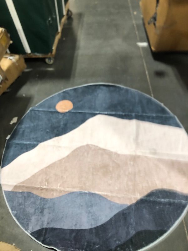 Photo 1 of 5ft Round rug