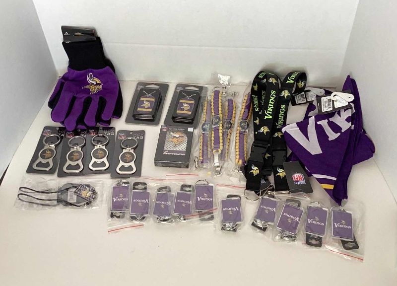 Photo 1 of NFL FAN PACK VIKINGS