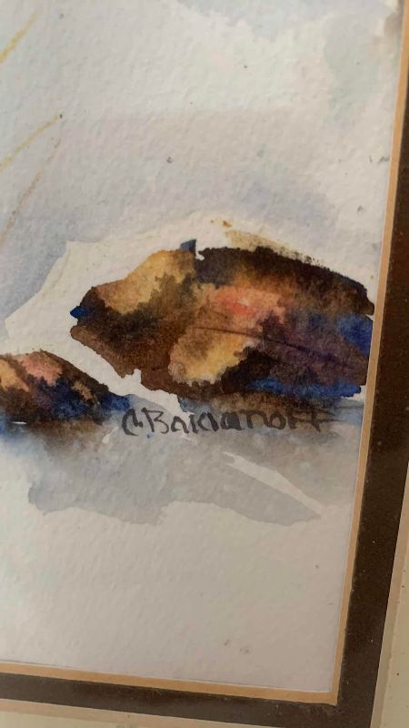 Photo 1 of ORIGINAL WATERCOLOR SIGNED BY ARTIST 18” X 22”