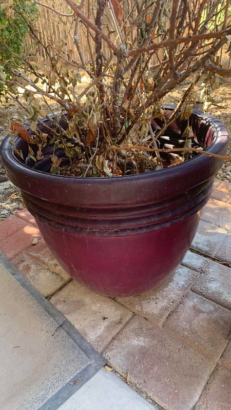 Photo 1 of PLASTER PLANT STAND AND PLASTIC POT