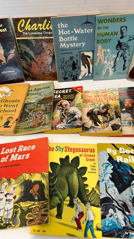 Photo 1 of VINTAGE STORY BOOKS