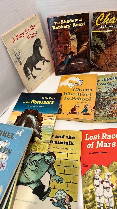Photo 1 of VINTAGE STORY BOOKS