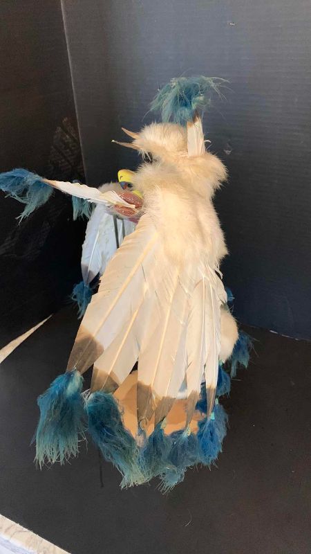 Photo 1 of NATIVE AMERICAN INDIAN HANDMADE EAGLE DANCER KACHINA 20” TALL