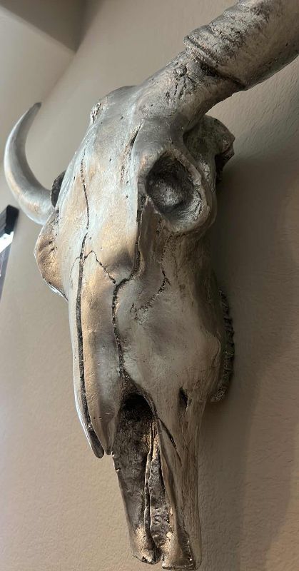 Photo 1 of SILVER BULL SKULL MOUNT ART 25” X 26”
